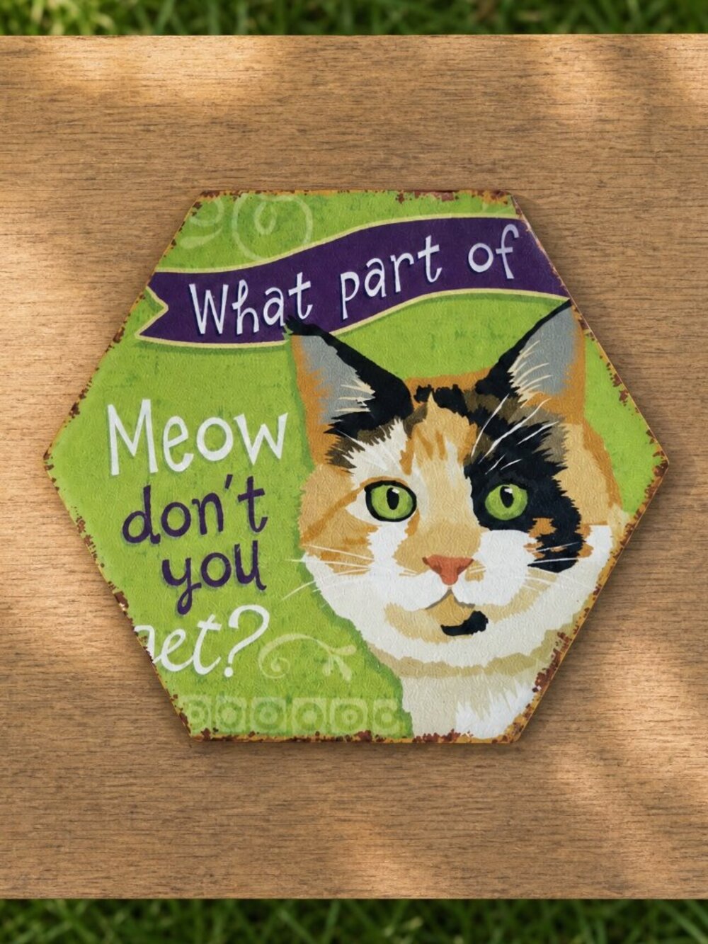 Cat Coaster